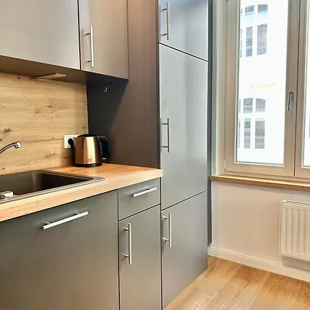 Daire Modernes City-apartment Mit Blick In Den Park Und 2 Baeder H9 Oldenburg